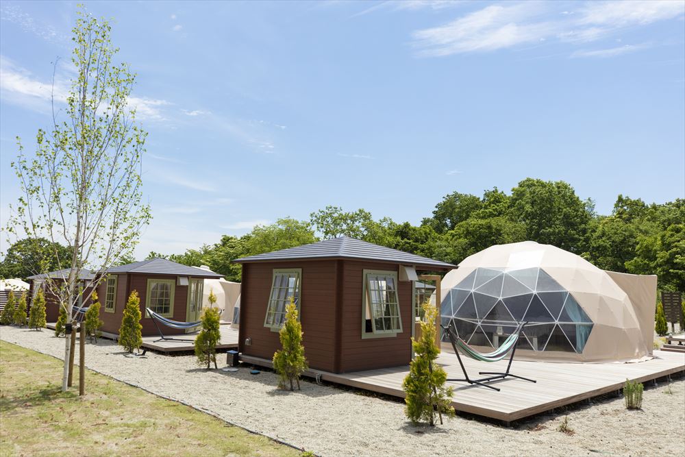 Hamiru’s Forest_The spacious 6m dome tents have wide windows in the front