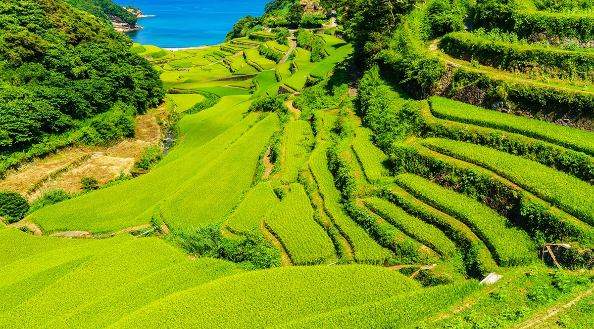 佐贺县