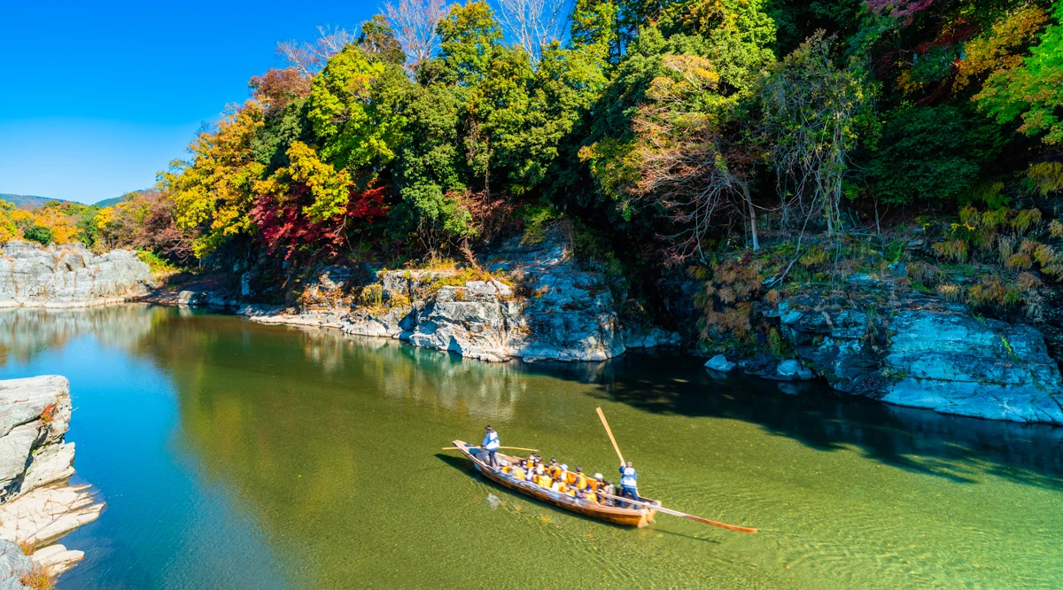 埼玉县