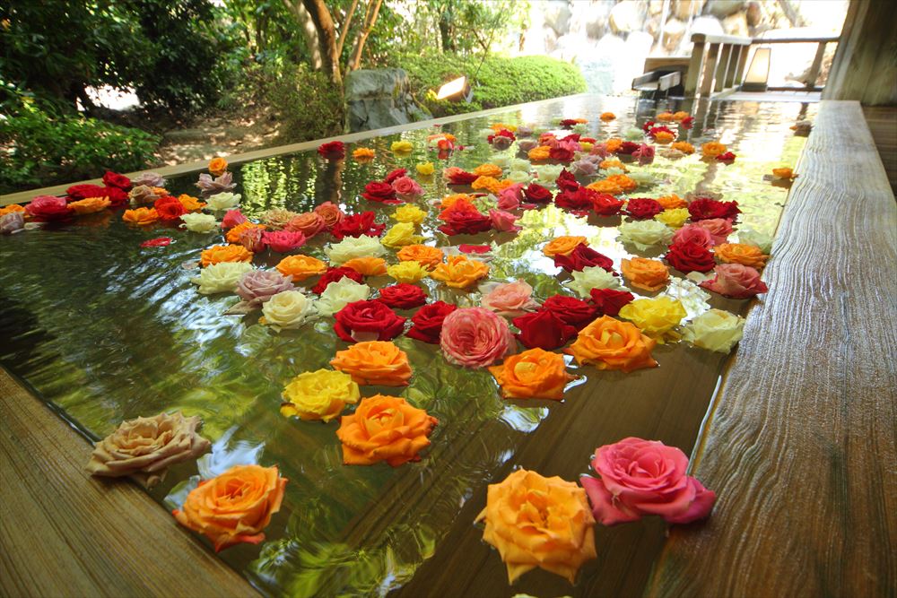 露天風呂。ばらの花を贅沢に浮かべた「ばら妃の湯」