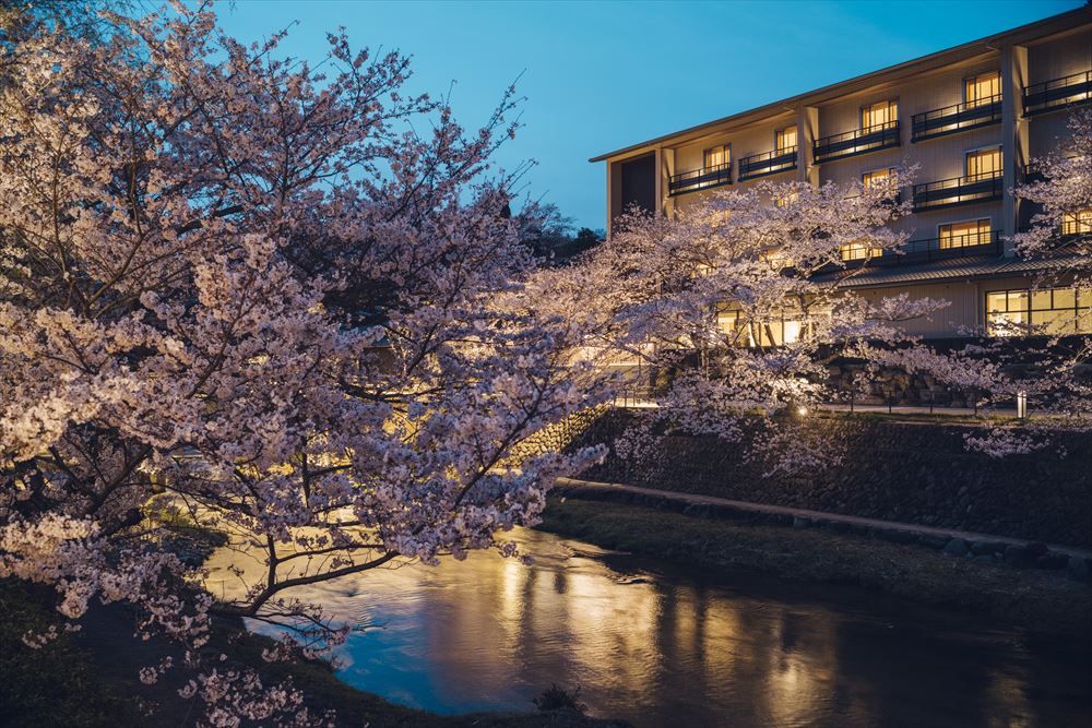 界長門の前を流れる音信川と桜