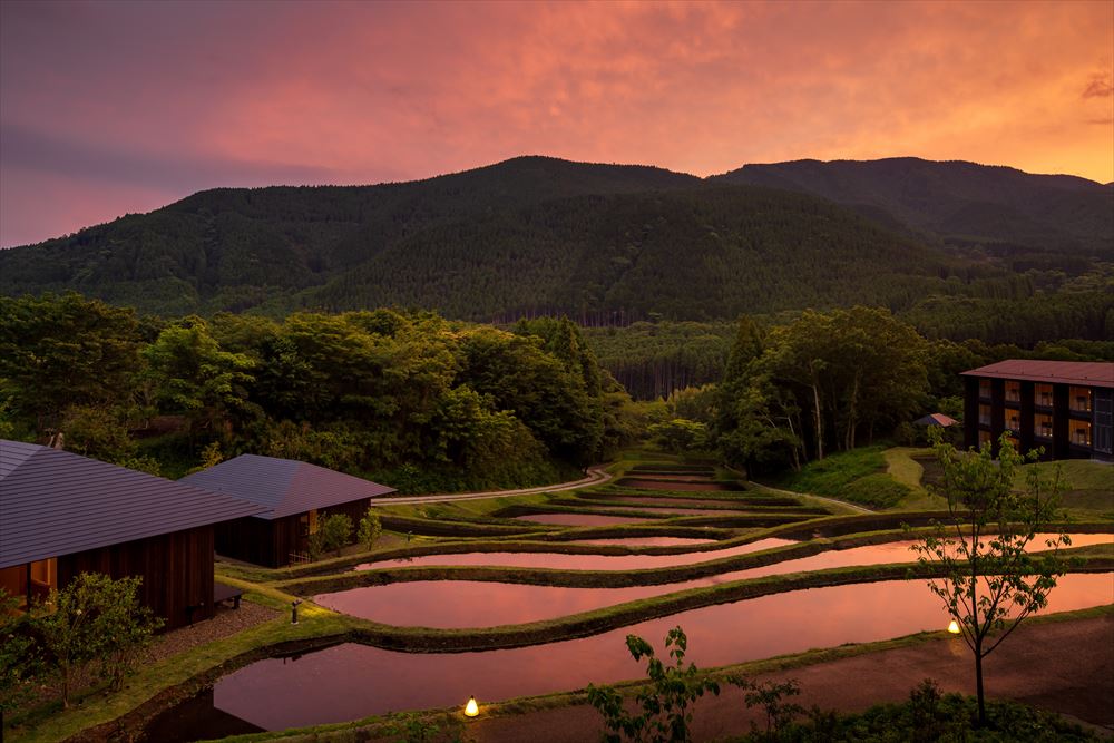 夕景に赤く染まる棚田