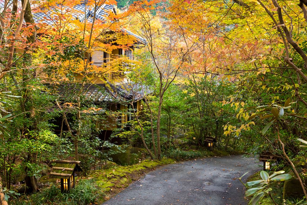 旅館 山河。從停車場到玄關的小徑。紅葉從10月下旬到11月中旬正值最佳觀賞期。